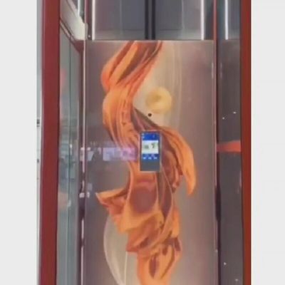 Ατσάλινος μικρός οικιακός ανελκυστήρας 400Kg μικροί ανελκυστήρες για σπίτια