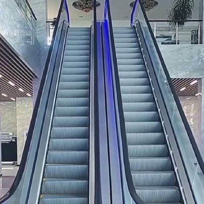 9000-15000 άτομα/H Αεροδρόμιο Μετακίνηση Περπατητής Ατσάλι